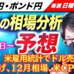 【FX来週の相場分析と予想】ドル円 米雇用統計でドル売り、米利下げ期待、米消費者物価指数、日銀短観！ドル円・ポンド円、来週の反発ポイントを見極めろ！（12月9日～12月13日）