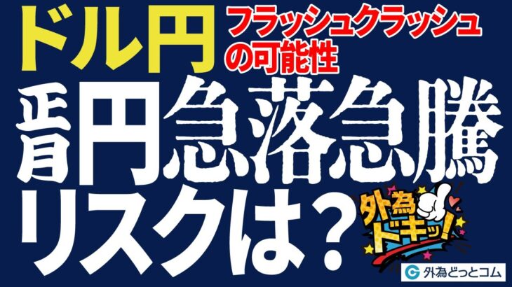 ドル円、お正月の円急落急騰リスクは？フラッシュクラッシュの可能性（年始のFX予想）2024/12/30　#外為ドキッ