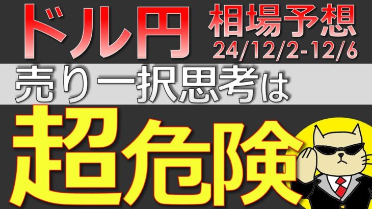 【ドル円最新予想】「ドル円は絶対売り！」←この思考、超危険です。急落中のドル円の攻め方を簡単解説！来週の為替相場予想と投資戦略！雇用統計・ISM・ブラックアウトにも注目(24/12/2週)【FX】※