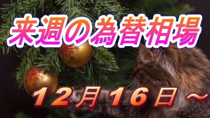 【TAKA FX】ドル、円、ユーロ、ポンド、豪ドルの環境認識解説。12月16日(月)～