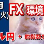 【TAKA FX】ドル円他各通貨の環境認識解説。各種指数、GOLDなど　12月10日(火)