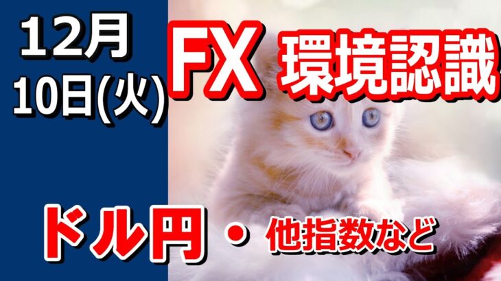 【TAKA FX】ドル円他各通貨の環境認識解説。各種指数、GOLDなど　12月10日(火)