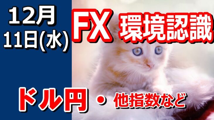 【TAKA FX】ドル円他各通貨の環境認識解説。各種指数、GOLDなど　12月11日(水)