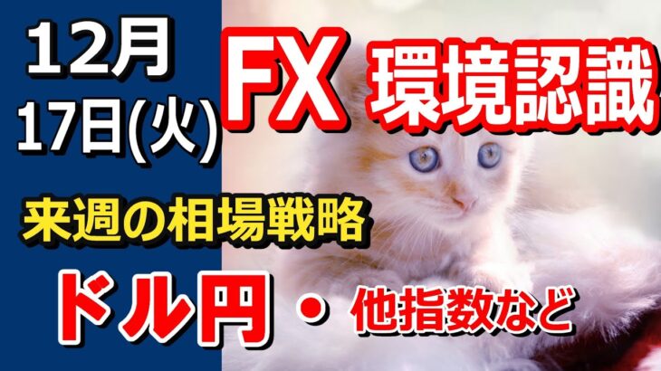 【TAKA FX】ドル円他各通貨の環境認識解説。各種指数、GOLDなど　12月17日(火)