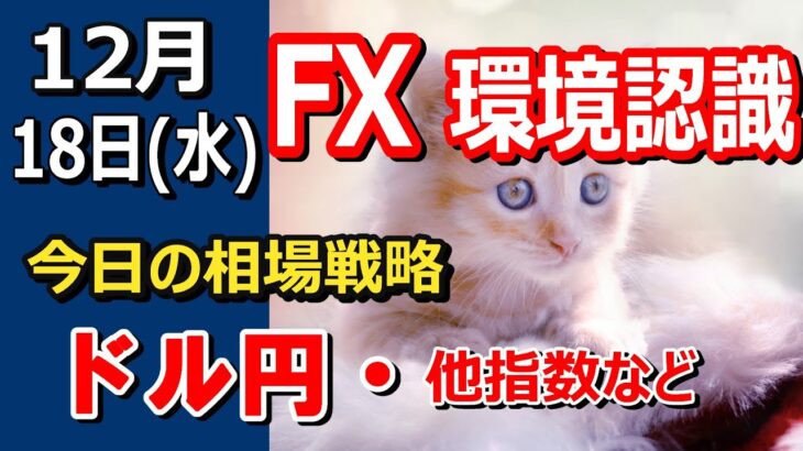 【TAKA FX】ドル円他各通貨の環境認識解説。各種指数、GOLDなど　12月18日(水)