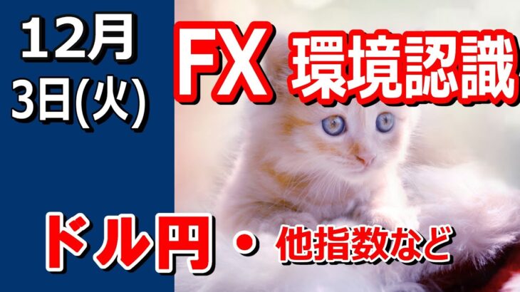 【TAKA FX】ドル円他各通貨の環境認識解説。各種指数、GOLDなど　12月3日(火)