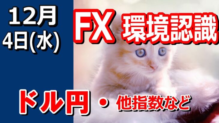 【TAKA FX】ドル円他各通貨の環境認識解説。各種指数、GOLDなど　12月4日(水)