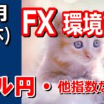 【TAKA FX】ドル円他各通貨の環境認識解説。各種指数、GOLDなど　12月5日(木)