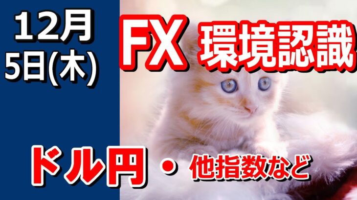 【TAKA FX】ドル円他各通貨の環境認識解説。各種指数、GOLDなど　12月5日(木)