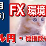【TAKA FX】ドル円他各通貨の環境認識解説。各種指数、GOLDなど　12月6日(金)