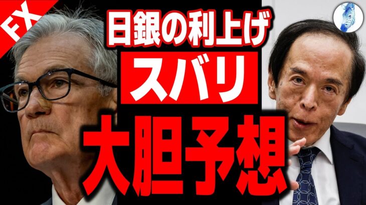 【米国金利 ドル円】日銀の利上げズバリ大胆予想／TVを見なくなる理由｜最新の相場を分析 2024年12月17日