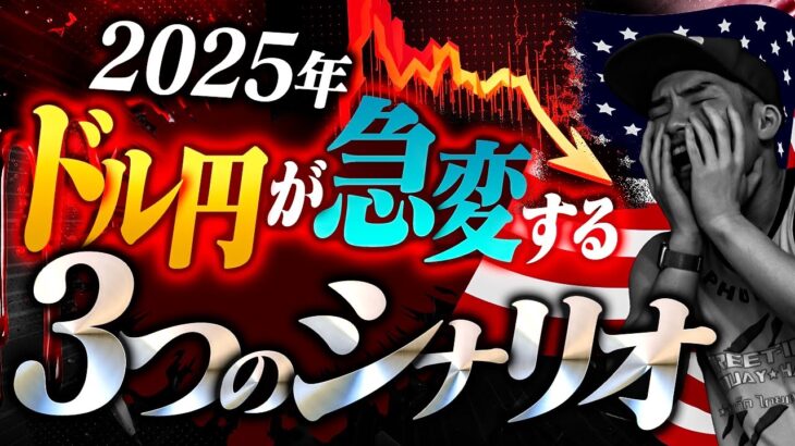 ドル円2025年、衝撃の予想！最大のリスクを暴露