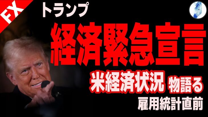 【中国株 日経平均 ドル円】トランプ経済緊急宣言 米経済状況物語る／雇用統計直前｜最新の相場を分析 2025年1月9日