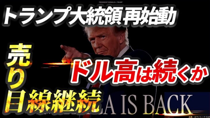 トランプ政権スタート｜ユーロドル・ポンドドル今後の戦略を徹底解説！【FX完全ガイド】