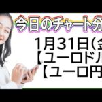 【FX最新予想】1月31日ユーロドル・ユーロ円相場チャート分析【海外FX投資】