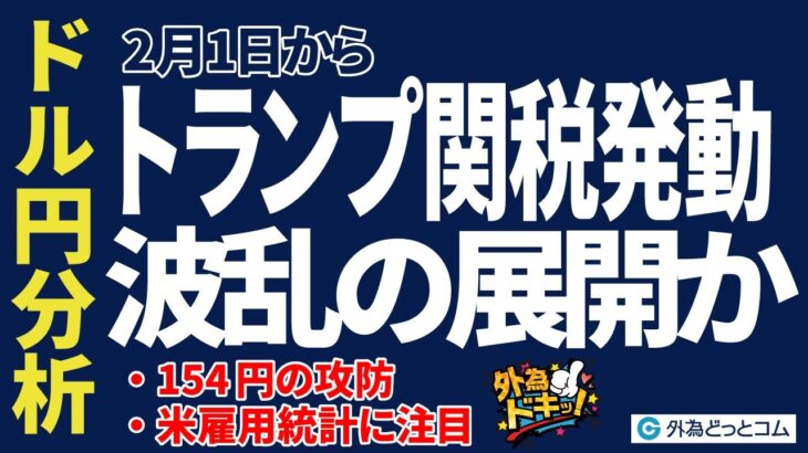 FX解説！トランプ関税発動で波乱の展開か｜ドル円154円の攻防。米雇用統計に注目（来週のFX予想）2025/1/31　#外為ドキッ