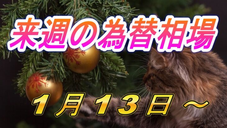 【TAKA FX】ドル、円、ユーロ、ポンド、豪ドルの環境認識解説。1月13日(月)～