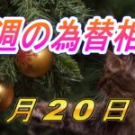 【TAKA FX】ドル、円、ユーロ、ポンド、豪ドルの環境認識解説。1月20日(月)～