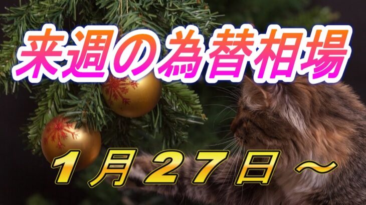 【TAKA FX】ドル、円、ユーロ、ポンド、豪ドルの環境認識解説。1月27日(月)～