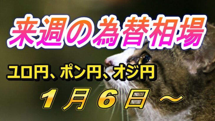 【TAKA FX】ユーロ円、ポンド円、豪ドル円の環境認識解説。1月6日(月)～