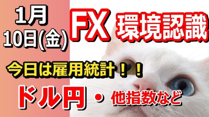 【TAKA FX】ドル円他各通貨の環境認識解説。各種指数、GOLDなど　1月10日(金)