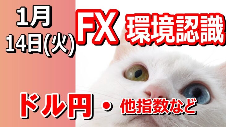 【TAKA FX】ドル円他各通貨の環境認識解説。各種指数、GOLDなど　1月14日(火)