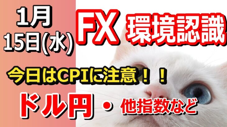 【TAKA FX】ドル円他各通貨の環境認識解説。各種指数、GOLDなど　1月15日(水)