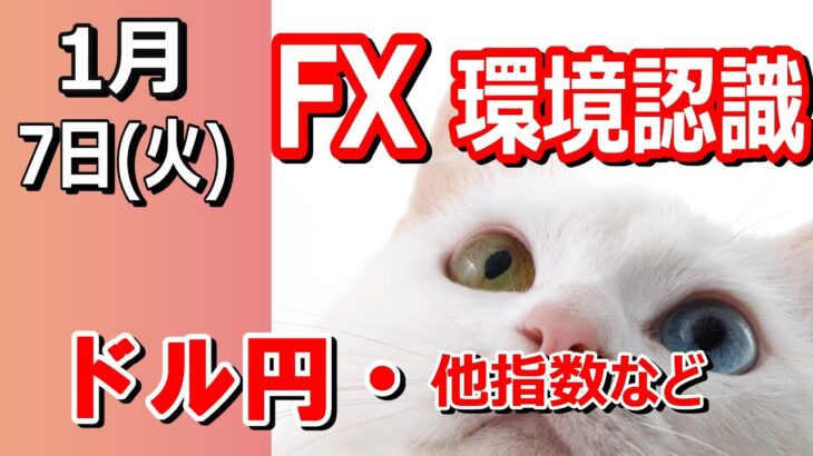 【TAKA FX】ドル円他各通貨の環境認識解説。各種指数、GOLDなど　1月7日(火)