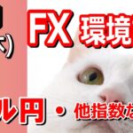 【TAKA FX】ドル円他各通貨の環境認識解説。各種指数、GOLDなど　1月8日(水)