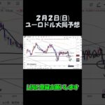 2月2日ユーロドル大局予想切り抜き【海外FX投資】 #shorts