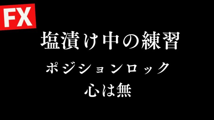 【FX】塩漬けポジロックで練習 ドル円149円台 普段のチャレンジ一時中止 FXスキャルピング&デイトレード 2/26