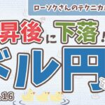 【円高に転換】ドル円 最新予想！勝ちやすい売りポイントを解説！【FX ローソクさんのテクニカル分析 #189 】