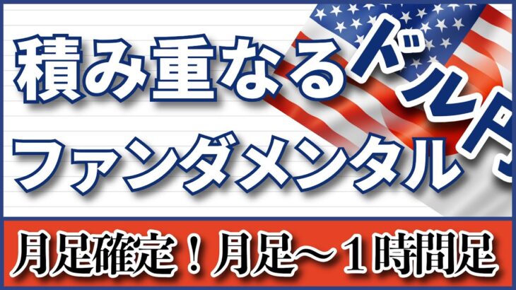 【FX ドル円分析】１月のドル円をファンダ目線＋テクニカル目線で解説！月足確定しましたので月足～１時間足まで細かく解説しています。 #FX #FXトレード #テクニカル分析