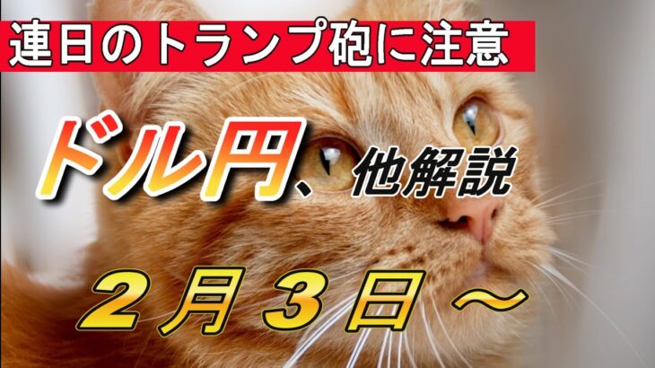 【TAKA FX】ようこそ2月！ドル円他各通貨の環境認識解説。2月3日(月)～