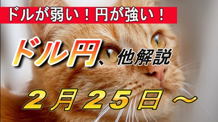 【TAKA FX】ドルが弱い！円が強い！これは流れ出るか？　ドル円他各通貨の環境認識解説。2月24日(月)～