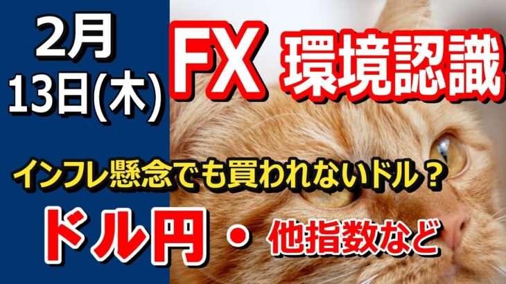 【TAKA FX】ドルが買われない・・？　ドル円他各通貨の環境認識解説。各種指数、GOLDなど　2月13日(水)