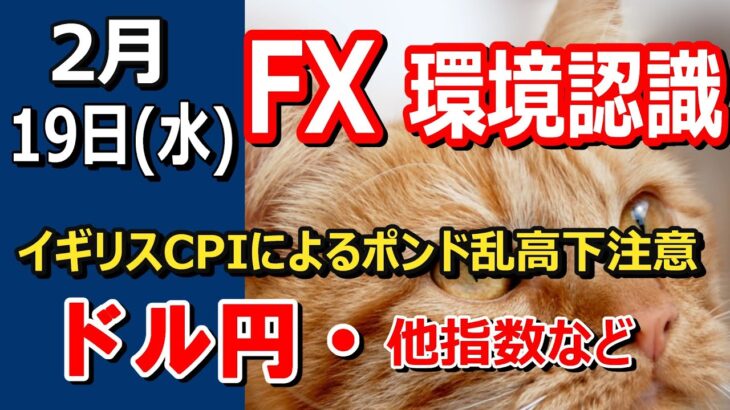 【TAKA FX】今日は荒れたポンドに要注意　ドル円他各通貨の環境認識解説。各種指数、GOLDなど　2月19日(水)