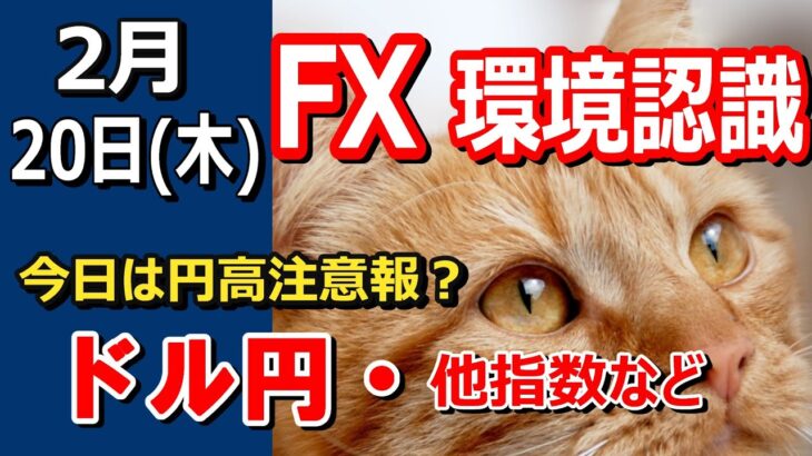 【TAKA FX】円の強さ出てきたか？　ドル円他各通貨の環境認識解説。各種指数、GOLDなど　2月20日(木)