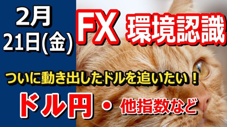 【TAKA FX】ついにドルに動きが･･　ドル円他各通貨の環境認識解説。各種指数、GOLDなど　2月21日(木)