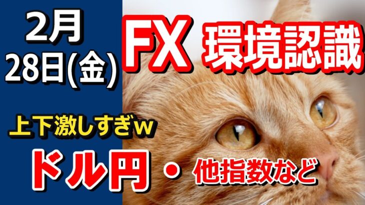 【TAKA FX】ずっと上下激しいなｗｗ　ドル円他各通貨の環境認識解説。各種指数、GOLDなど　2月28日(木)