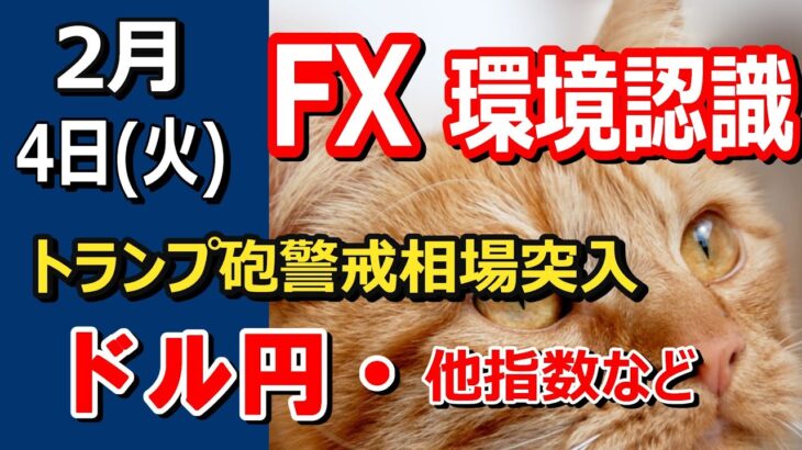 【TAKA FX】ドル円他各通貨の環境認識解説。各種指数、GOLDなど　2月4(火)