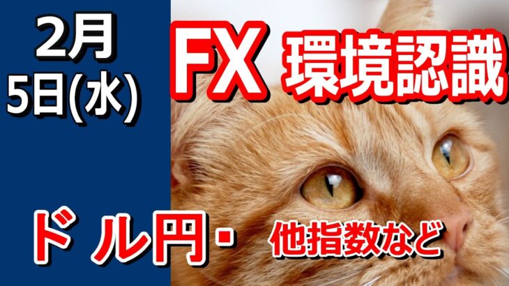 【TAKA FX】ドル円他各通貨の環境認識解説。各種指数、GOLDなど　2月5日(水)