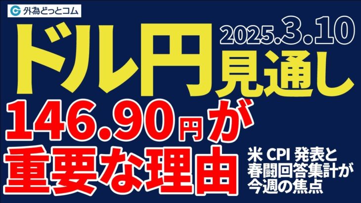 ドル円、146.90円が重要な理由｜米CPI発表と春闘回答集計が今週の焦点（今夜のFX予想）2025/3/10 #外為ドキッ