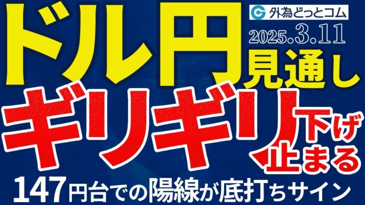 ドル円、ギリギリ！147円台での陽線が底打ちサイン｜米利下げ予想4回？（今夜のFX予想）2025/3/11 #外為ドキッ