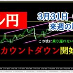 【ドル円来週の展望】大波のカウントダウンが開始されました！ 2025年3月31日（月）～