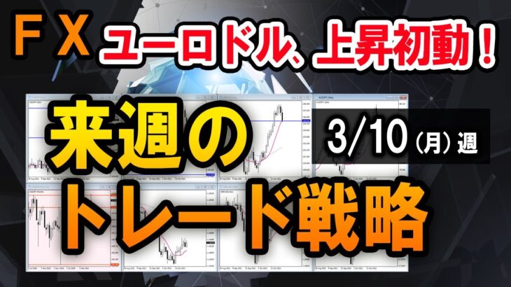 【FX】ユーロドルに買いチャンス到来！米ドルは全面安に／スキャルの実戦解説【3/10週】