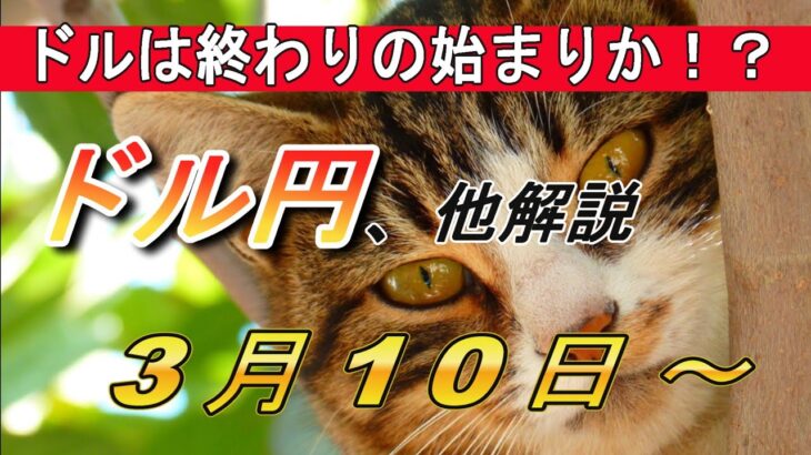 【TAKA FX】ドルは終わりの始まりか？　ドル円他各通貨の環境認識解説。3月10日(月)～