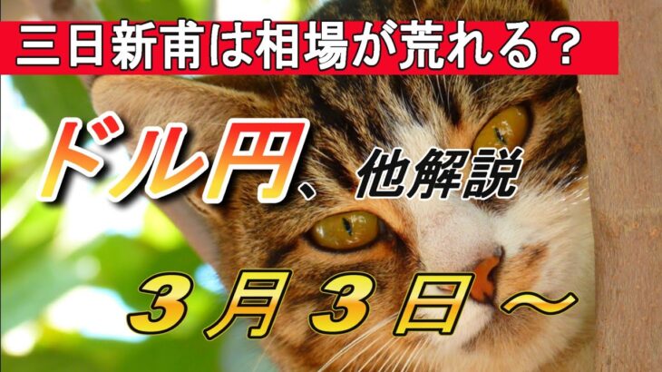 【TAKA FX】今年は円高なのか？　ドル円他各通貨の環境認識解説。3月3日(月)～