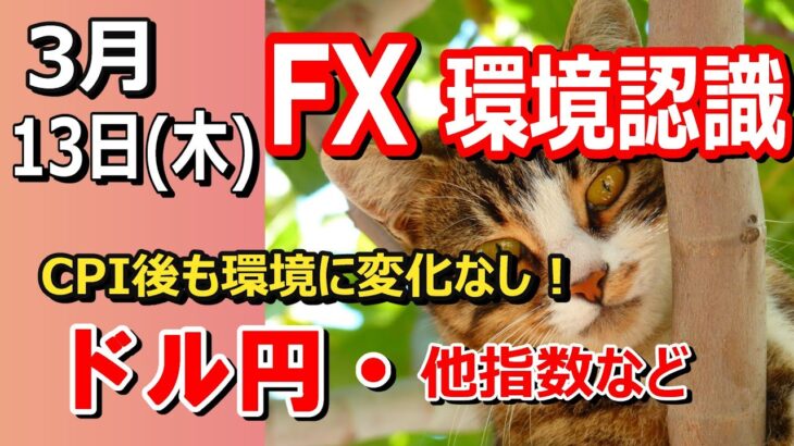 【TAKA FX】CPIでも動かず・・調整継続ですかね　ドル円他各通貨の環境認識解説。各種指数、GOLDなど　3月13日(木)