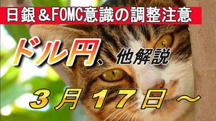 【TAKA FX】日銀＆FOMCその他中銀ウィークです！　ドル円他各通貨の環境認識解説。3月17日(月)～